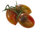 Brad`s atomic grape heirloom tomatoes on the vine, cluster of, isolated Solanum lycopersicum fruits