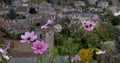 Bradford on Avon, Wiltshire, UK, taken from St Mary Tory Chapel, high point of the town. Pink anenome flowers in the foreground Royalty Free Stock Photo