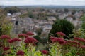 Bradford on Avon, Wiltshire, UK, taken from St Mary Tory Chapel, high point of the town. Pink anenome flowers in the foreground Royalty Free Stock Photo