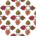 Bradford Pear Tile Royalty Free Stock Photo