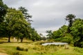 Bradgate