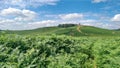 Bradgate Old John Folly Royalty Free Stock Photo