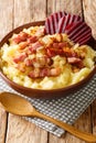 Braendende Kaerlighed or Burning love is an old danish dish with mashed potatoes, crisp bacon bits and soft fried onions close-up