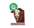 BRAFORD BEST BREED CATTLE