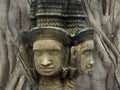 brahma head status religion art embed in the bodhi tree backgroung Royalty Free Stock Photo