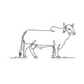Brahman Bull Standing Side View Continuous Line Drawing Black and White Illustration Royalty Free Stock Photo
