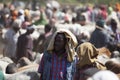 Brahman bull, Zebu and other cattle at one of the largest livestock market in the horn of Africa countries. Babile. Ethiopia. Royalty Free Stock Photo