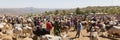 Brahman bull, Zebu and other cattle at one of the largest livestock market in the horn of Africa countries. Babile. Ethiopia.