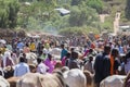 Brahman bull, Zebu and other cattle at one of the largest livestock market in the horn of Africa countries. Babile. Ethiopia. Royalty Free Stock Photo