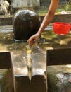 Brahmin priest offers puja at shiva lingam