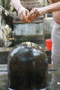 Brahmin priest offers puja at shiva lingam