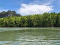 Brahminy Kites Eagles flying over river in Kilim Karst Geoforest Park, Langkawi island, Kedah, Malaysia. Royalty Free Stock Photo