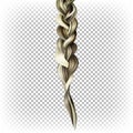 A braid of dyed highlighted shiny hair isolated on a transparent background. 3D vector realistic illustration Royalty Free Stock Photo