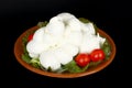 Braid of Italian mozzarella Royalty Free Stock Photo