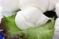 Braid of Italian mozzarella Royalty Free Stock Photo