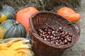 Braided basket with horse chestnuts and ripe pumpkin against the background of hay. Autumn Harvest