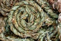 Braided dried sorrel leaves