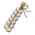 Braided Garlic String Still Life in Rustic Style Illustration Royalty Free Stock Photo