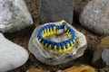 Braided paracord bracelet on the background of stones.