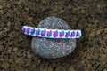 Braided paracord bracelet on the background of stones.