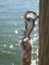 Braided rope and metal clip on wooden pier