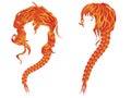 Braided wavy red hair Royalty Free Stock Photo