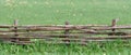 A braided wooden fence made of thin branches in the countryside against green lawn at the neat farm