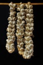 Braids of garlic, isolated on black Royalty Free Stock Photo