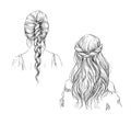 Braids. Hairstyle. Vector drawing