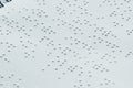 Braille font on paper. Close-up.