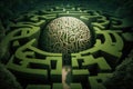 Brain Activities, Brain Fitness. How to Improve Cognitive Skills With the Brain Gym. Brain Shape Maze, big labyrinth with Brain in