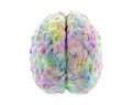brain activity, multicolor human brain model