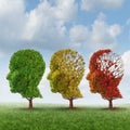Brain Aging Royalty Free Stock Photo