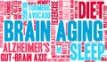 Brain Aging Word Cloud