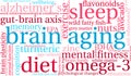 Brain Aging Word Cloud