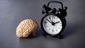 Brain with Alarm Clock Symbolizing Wakefulness, Cognitive Function, and Time Awareness Royalty Free Stock Photo