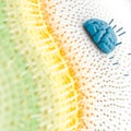 Brain Amidst Colorful Abstract Grid Royalty Free Stock Photo