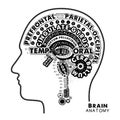 Brain Anatomy Typographic Artwork. Inspirational Vector Illustration.