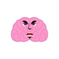 Brain angry emotion. Human brains Emoji evil. Isolated Mind