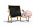 Brain with arms, legs and chalk on hand in front of blackboard Royalty Free Stock Photo