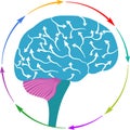 Brain arrow logo Royalty Free Stock Photo