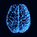 Brain. Background with brain. Brain neurons. The concept of thinking. Human brain. Brain sign