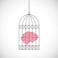 Brain in a bird cage