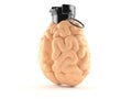Brain bomb Royalty Free Stock Photo