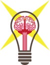 Brain bulb vector