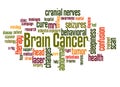 Brain cancer word cloud concept 2 Royalty Free Stock Photo