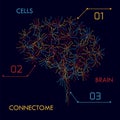 Brain cells connectome Royalty Free Stock Photo