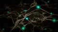 Neurons