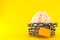 Brain with chain and padlock