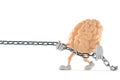 Brain character pulling chain